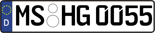 MS-HG0055