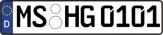 MS-HG0101