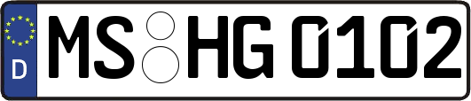 MS-HG0102
