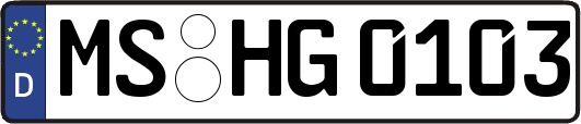 MS-HG0103