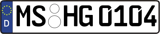 MS-HG0104