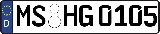 MS-HG0105