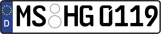 MS-HG0119
