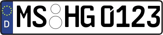 MS-HG0123