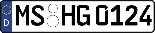 MS-HG0124