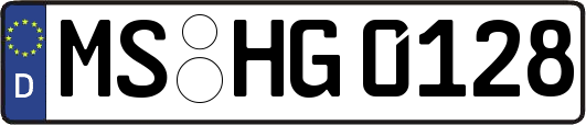 MS-HG0128