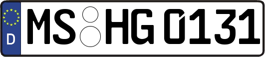 MS-HG0131