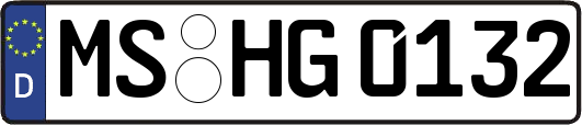 MS-HG0132