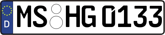 MS-HG0133