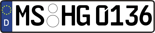 MS-HG0136