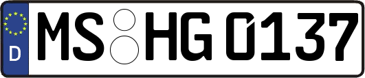 MS-HG0137