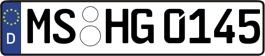 MS-HG0145