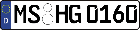 MS-HG0160