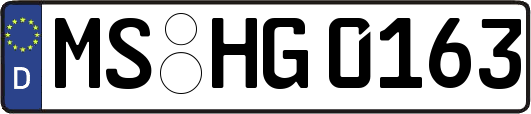 MS-HG0163