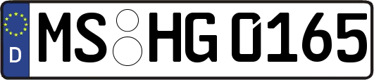 MS-HG0165