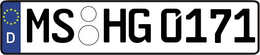 MS-HG0171
