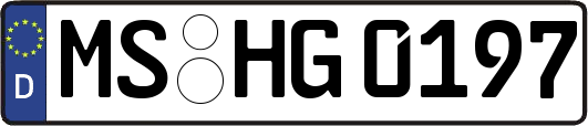 MS-HG0197