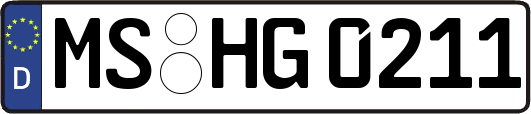 MS-HG0211