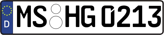 MS-HG0213