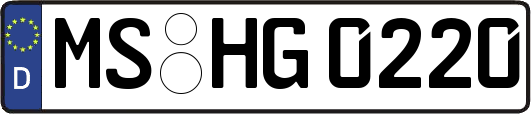 MS-HG0220