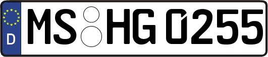 MS-HG0255