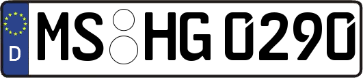 MS-HG0290