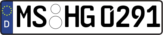 MS-HG0291