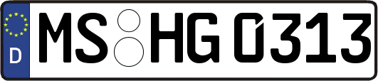 MS-HG0313