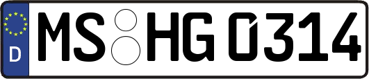 MS-HG0314