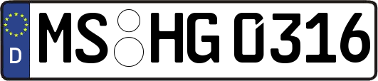 MS-HG0316