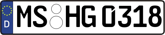 MS-HG0318