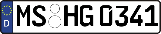 MS-HG0341