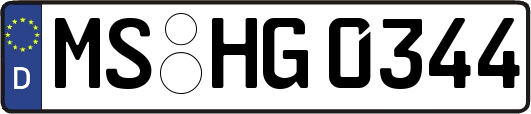 MS-HG0344