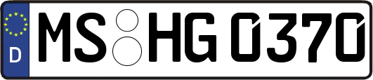 MS-HG0370