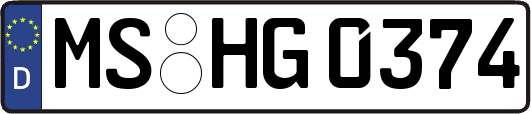 MS-HG0374
