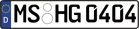 MS-HG0404