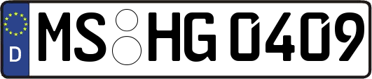 MS-HG0409