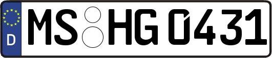 MS-HG0431