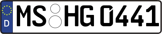 MS-HG0441