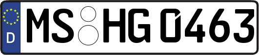 MS-HG0463