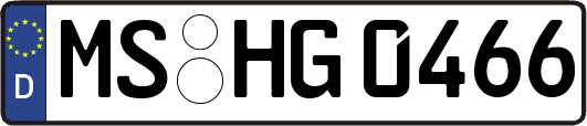 MS-HG0466