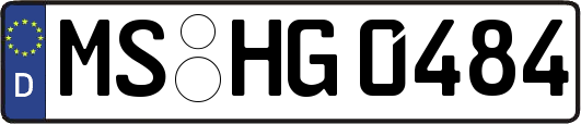 MS-HG0484