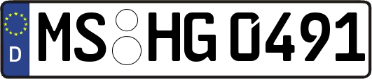 MS-HG0491