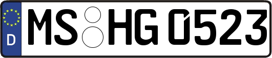 MS-HG0523