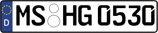 MS-HG0530