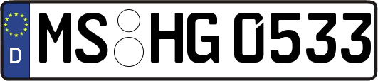 MS-HG0533