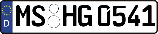 MS-HG0541