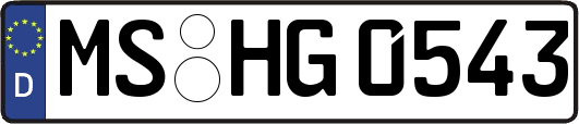 MS-HG0543