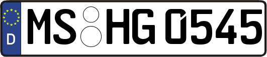 MS-HG0545