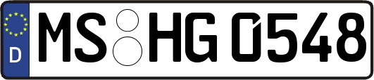 MS-HG0548